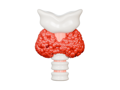 Thyroid Function Test